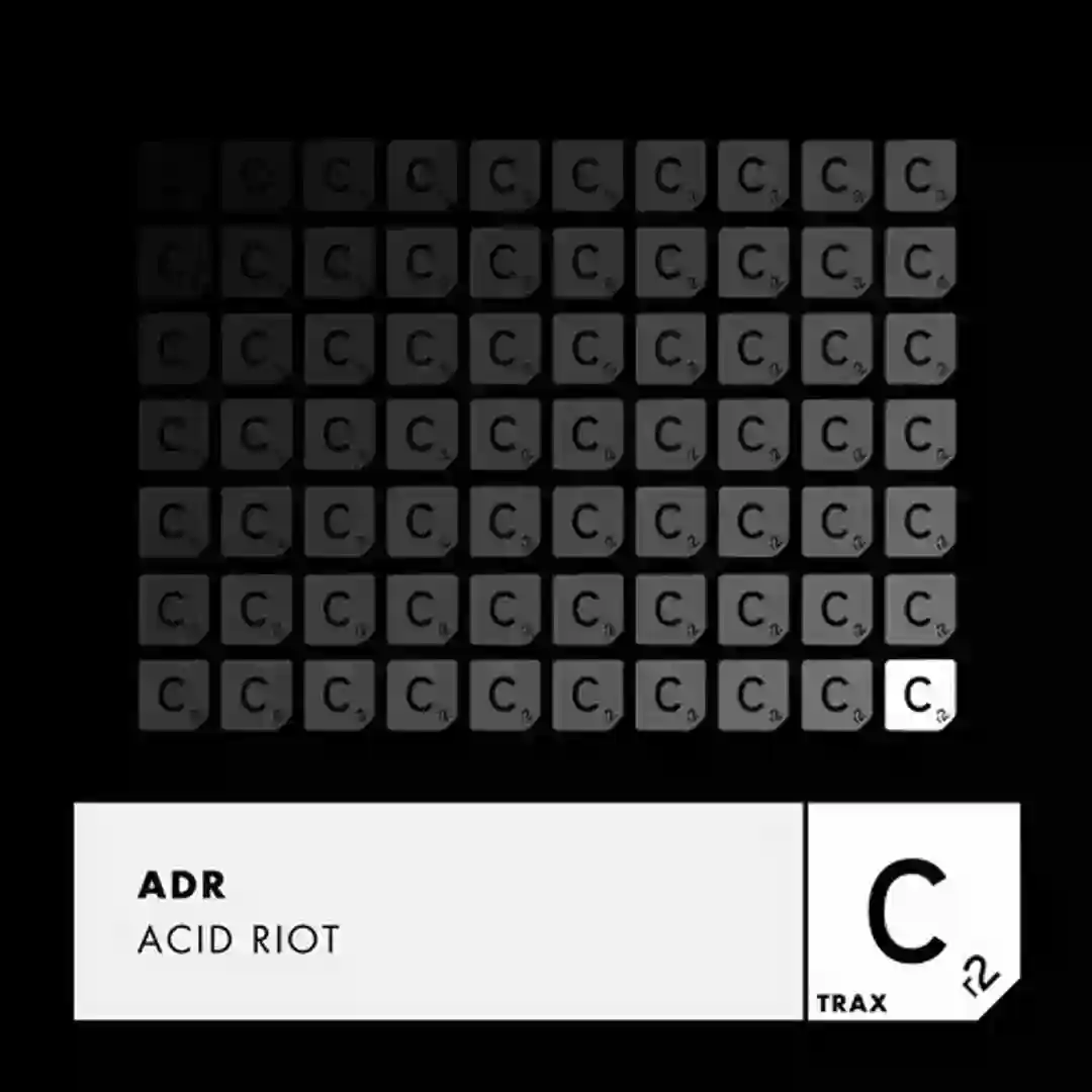 Acid Riot cover
