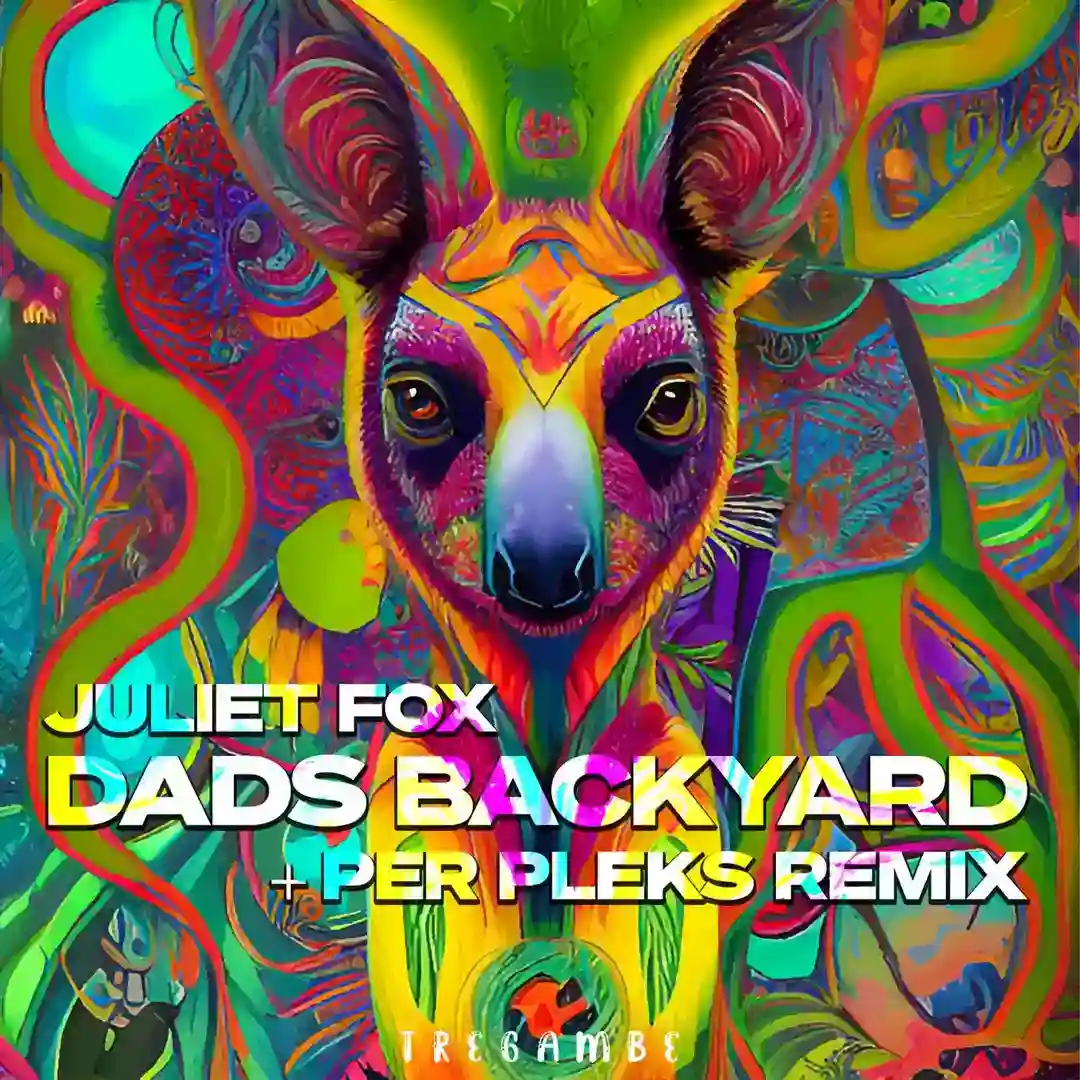 Dads Backyard (Per Pleks Remix) cover