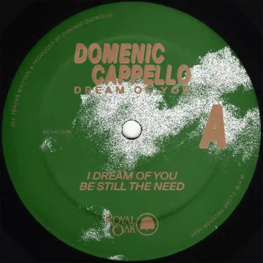 I Dream Of You (Original Mix) cover