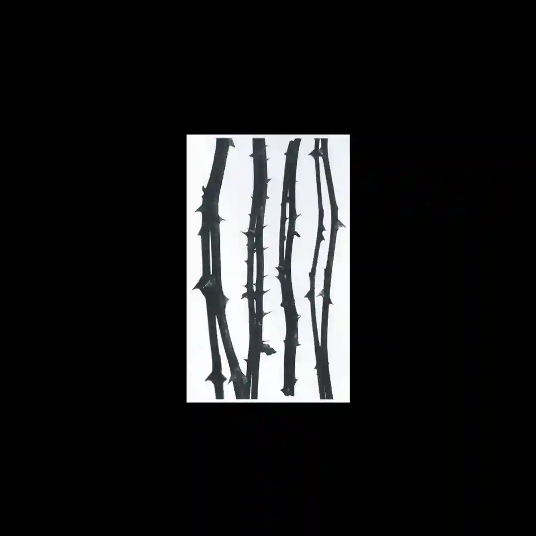 Komsomolets cover