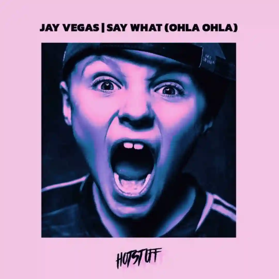 Say What (Ohla Ohla) (Dub Mix) cover