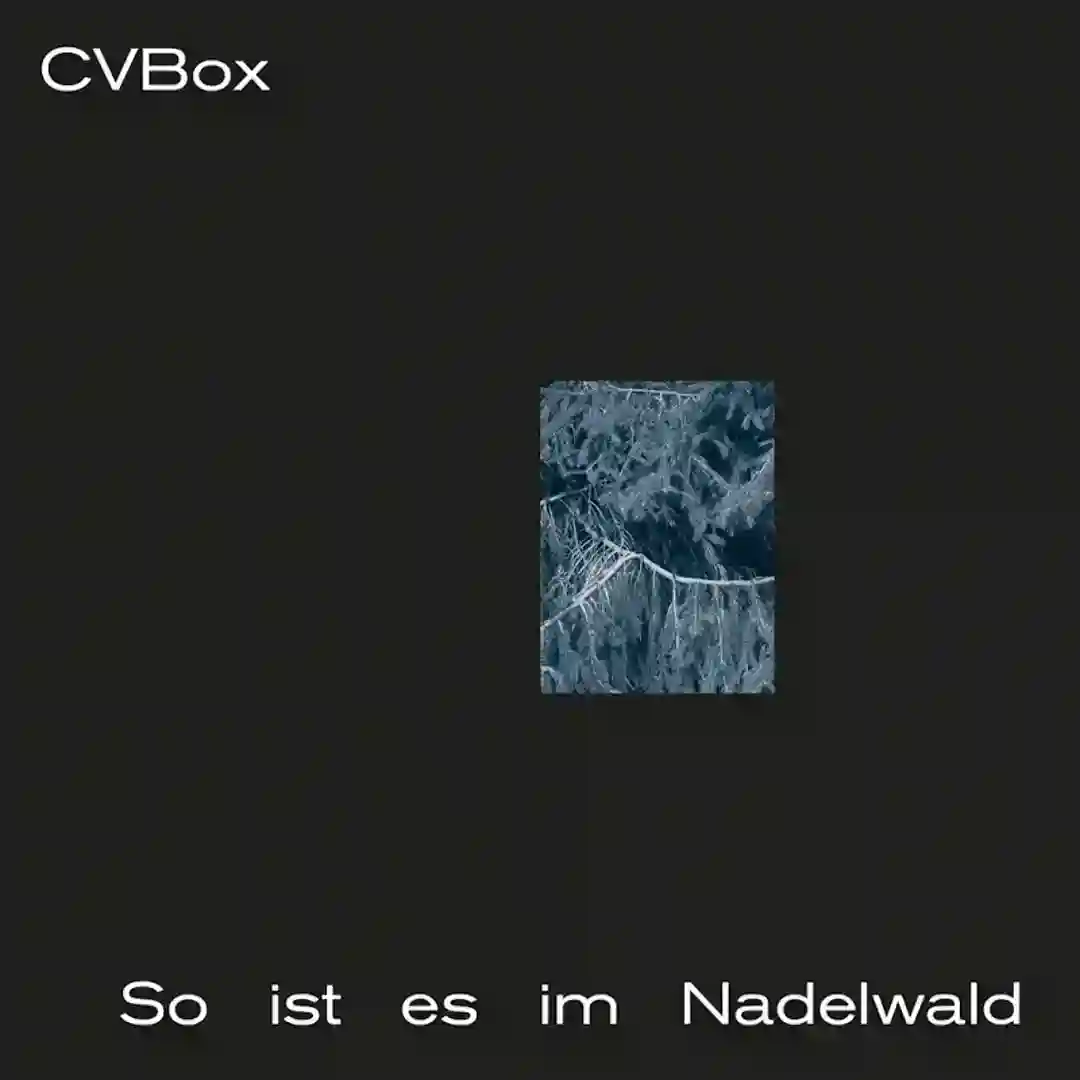 Stalking Club cover