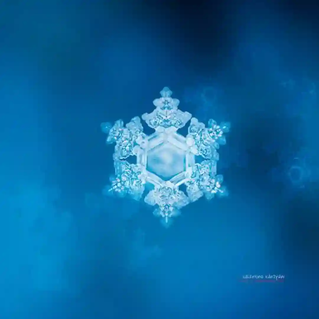 Mirvan cover