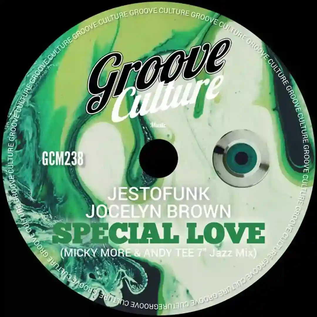 Special Love (Micky More & Andy Tee 7" Jazz Mix) cover