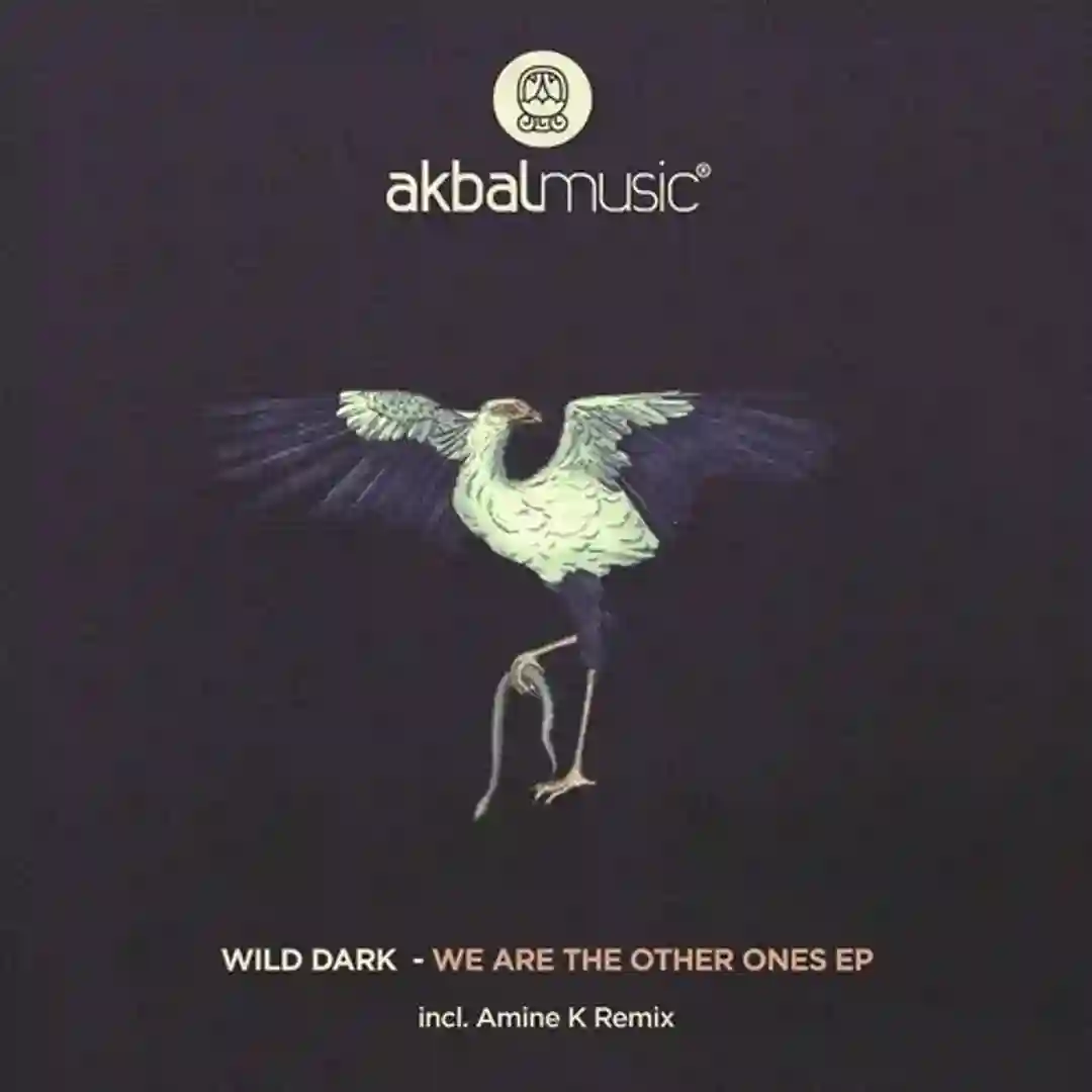 I Am (Original Mix) cover