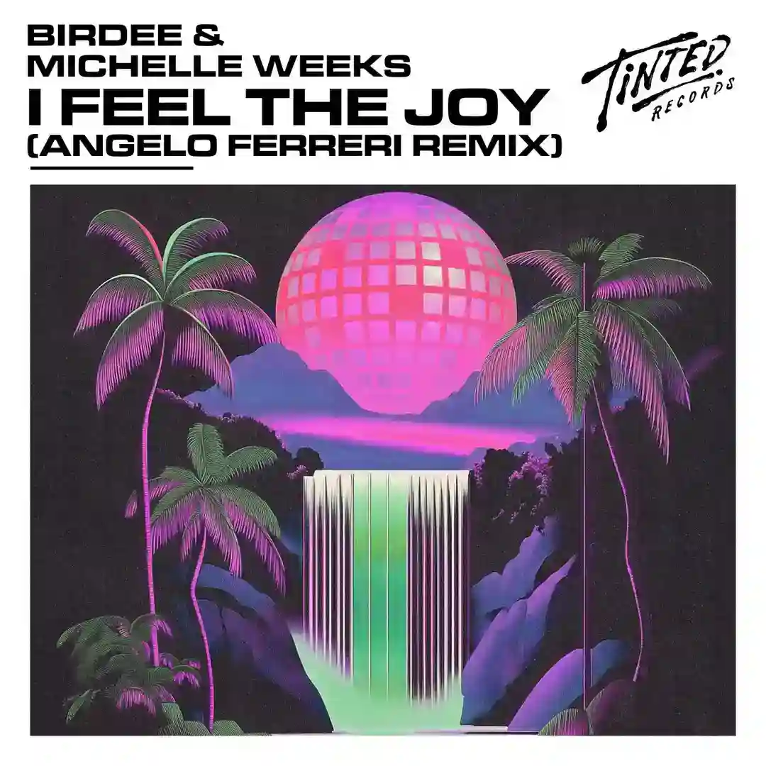 I Feel the Joy (Angelo Ferreri Extended Remix) cover