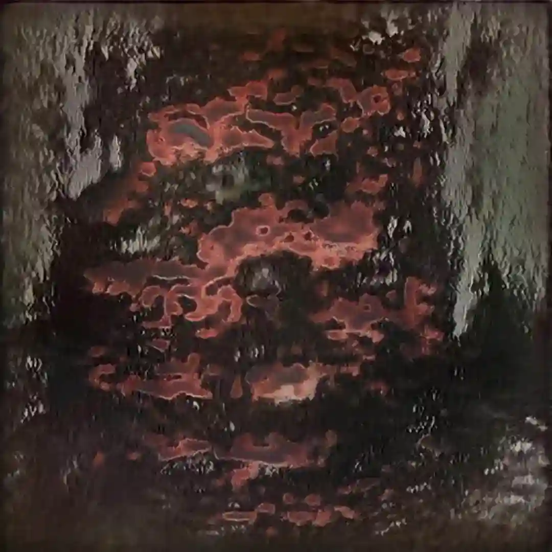 Shuriken cover