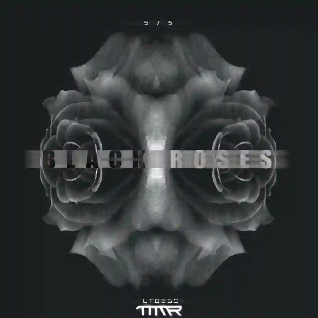 Faded Peonia (Original Mix) cover