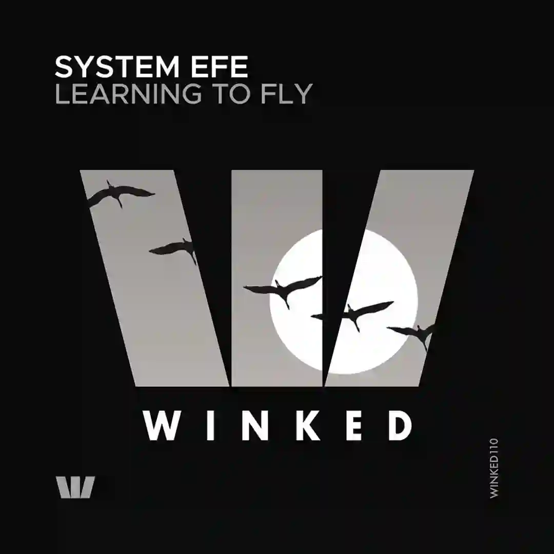 Learning To Fly cover