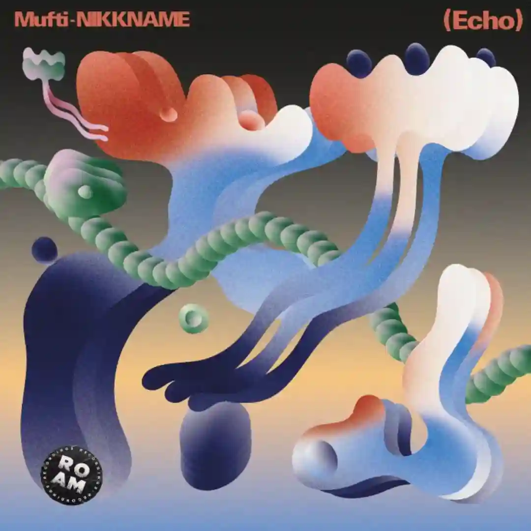 Echo (Original Mix) cover