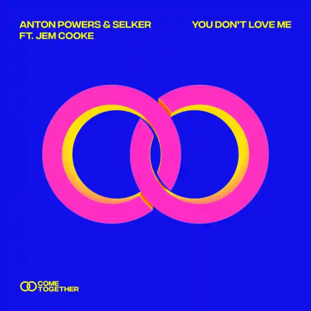 You Don't Love Me (Extended Mix) cover