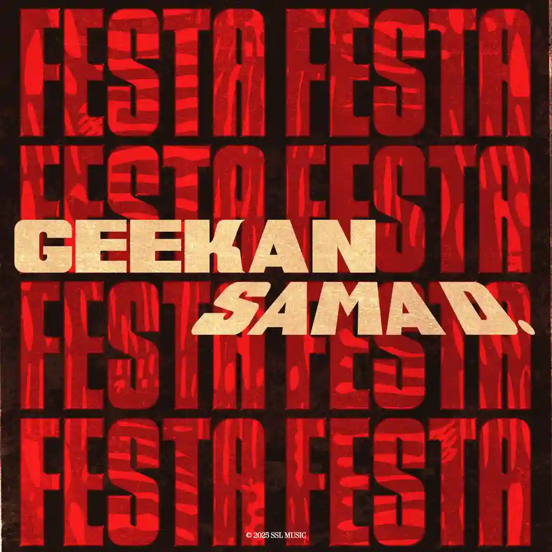Festa (Original Mix) cover
