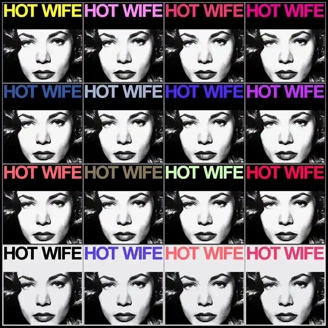 HOT WIFE cover