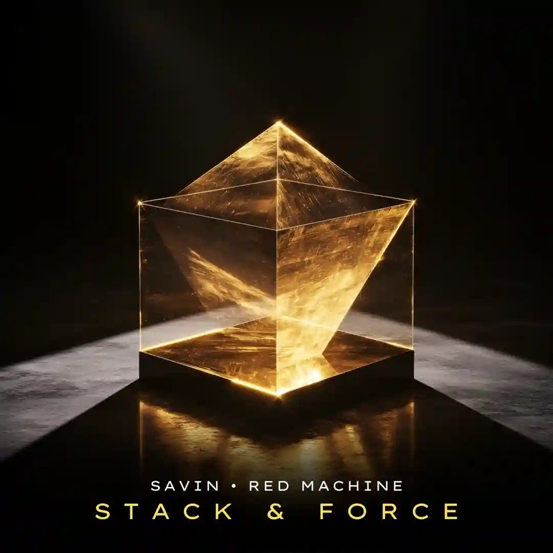 Stack & Force (Extended Mix) cover