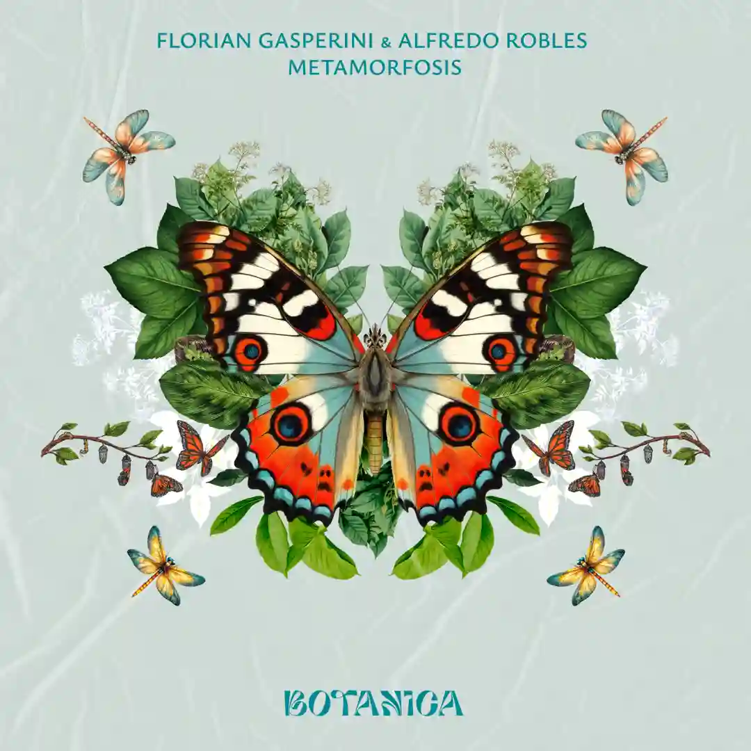 El Despertar De La Crisálida (Original Mix) cover