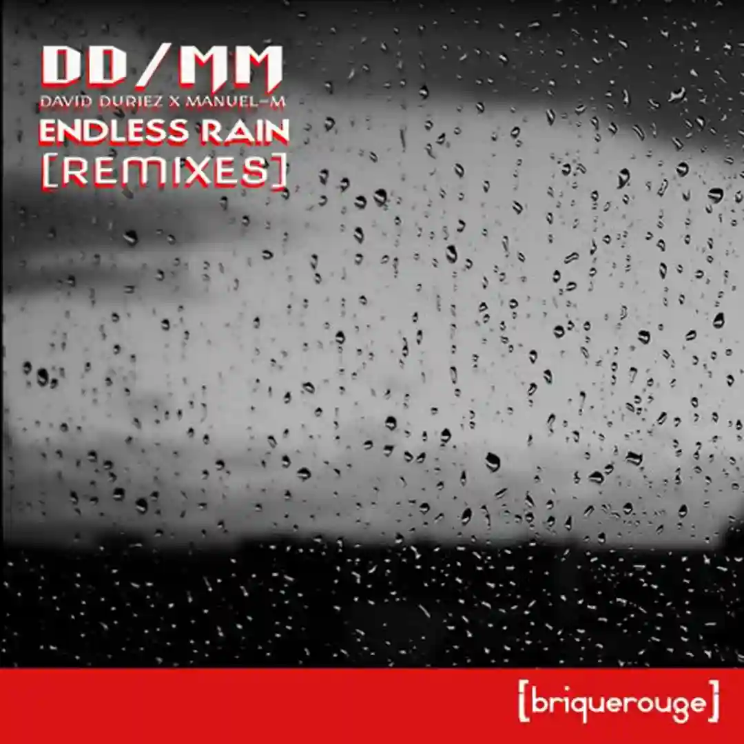 Endless Rain (LutchamaK Remix) cover