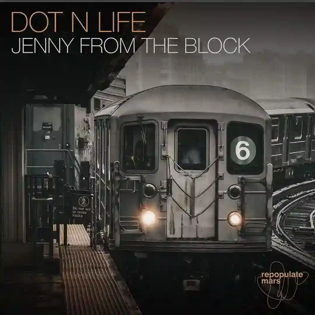 Jenny From The Block cover