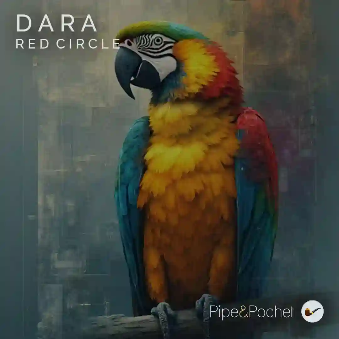 Kayla (Original Mix) cover
