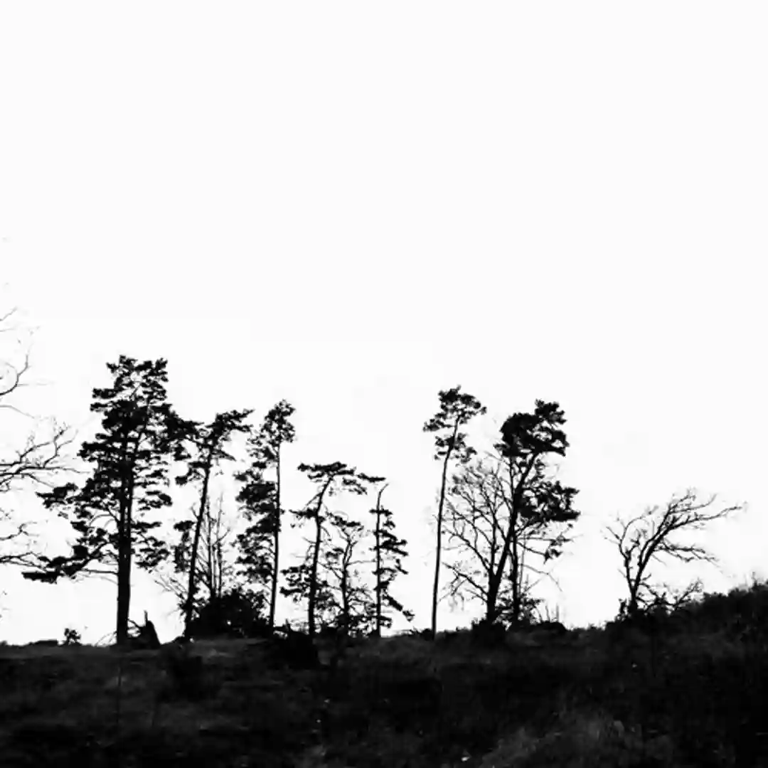 Sunrise (Herrhausen & Treindl Remix) cover