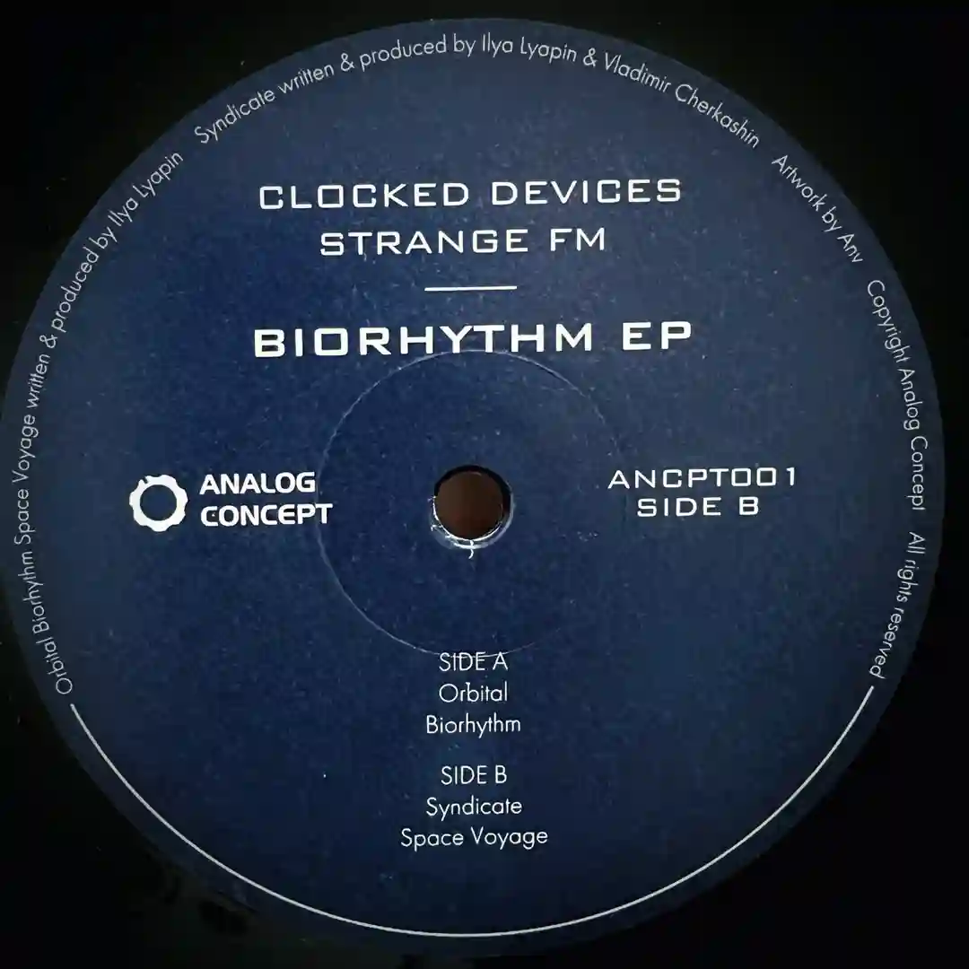 Biorhythm (Original Mix) cover