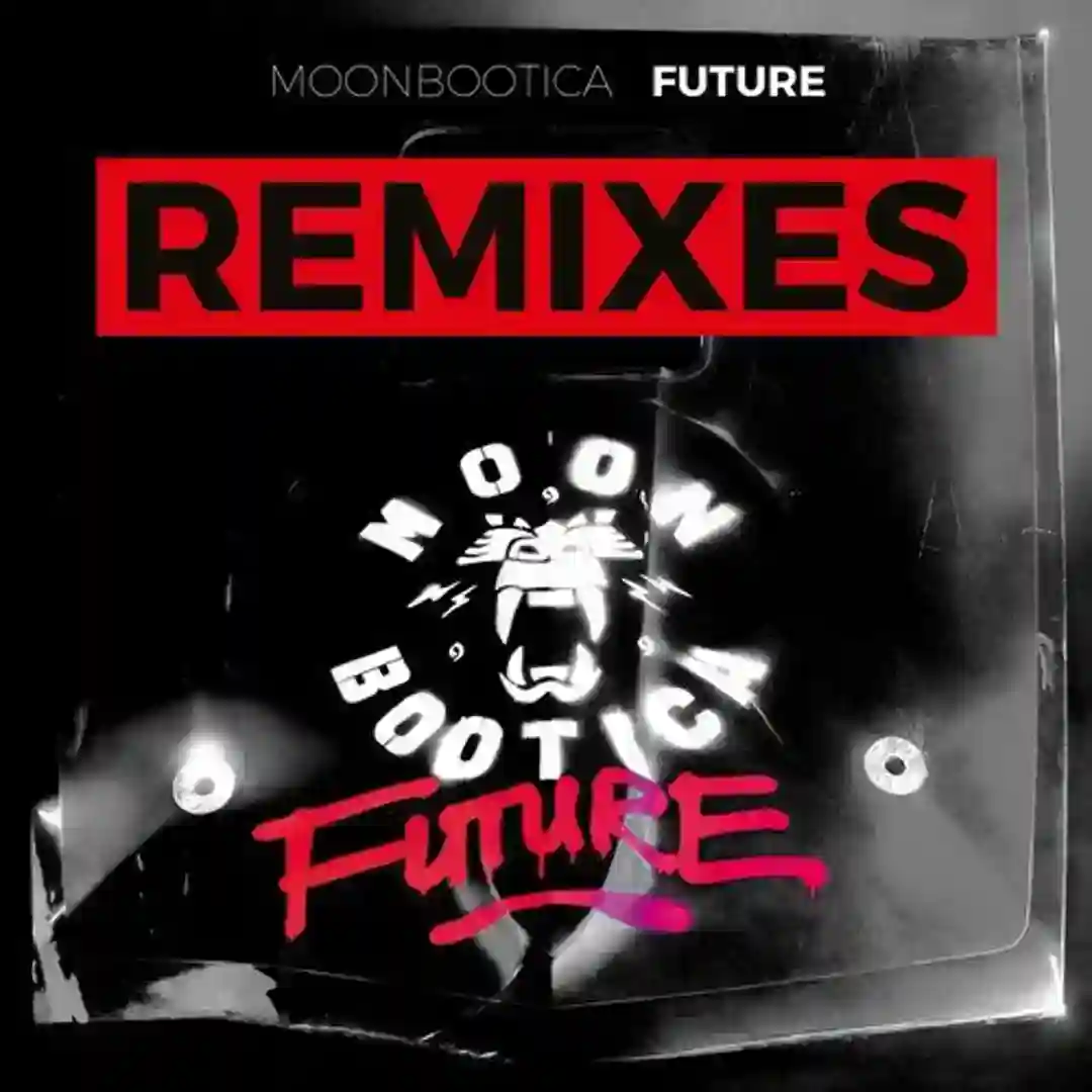 Future (Remixes) cover
