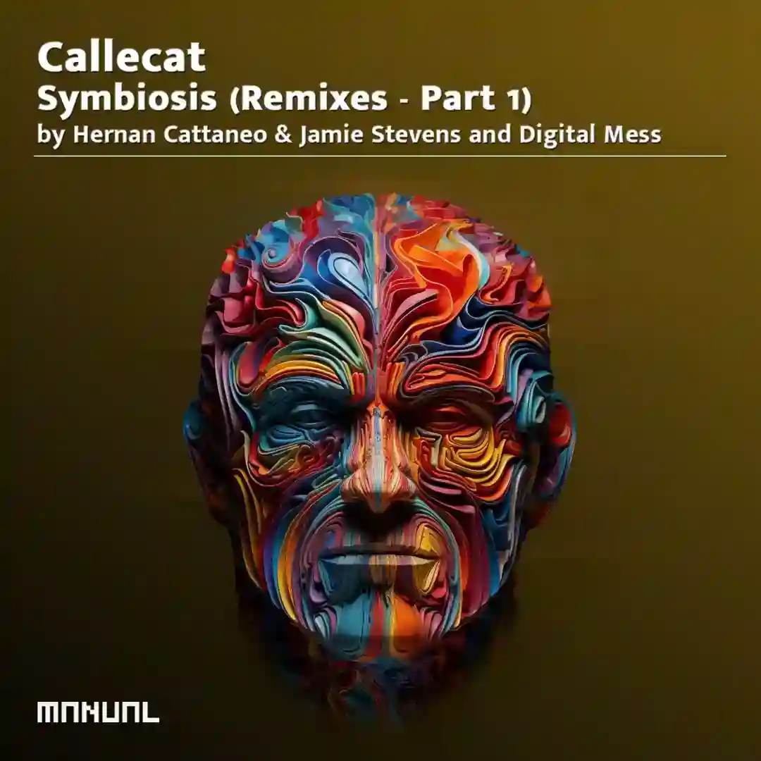 Unified Formulas (Digital Mess Remix) cover