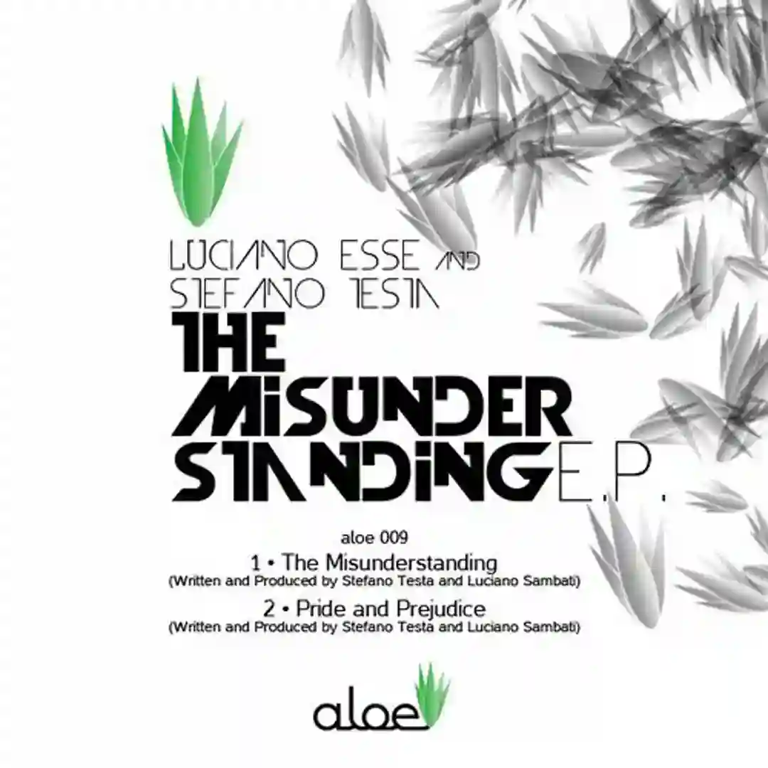 The Misunderstanding (Original Mix) cover