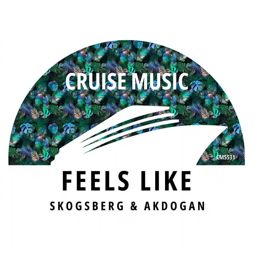 Feels Like (Original Mix) cover