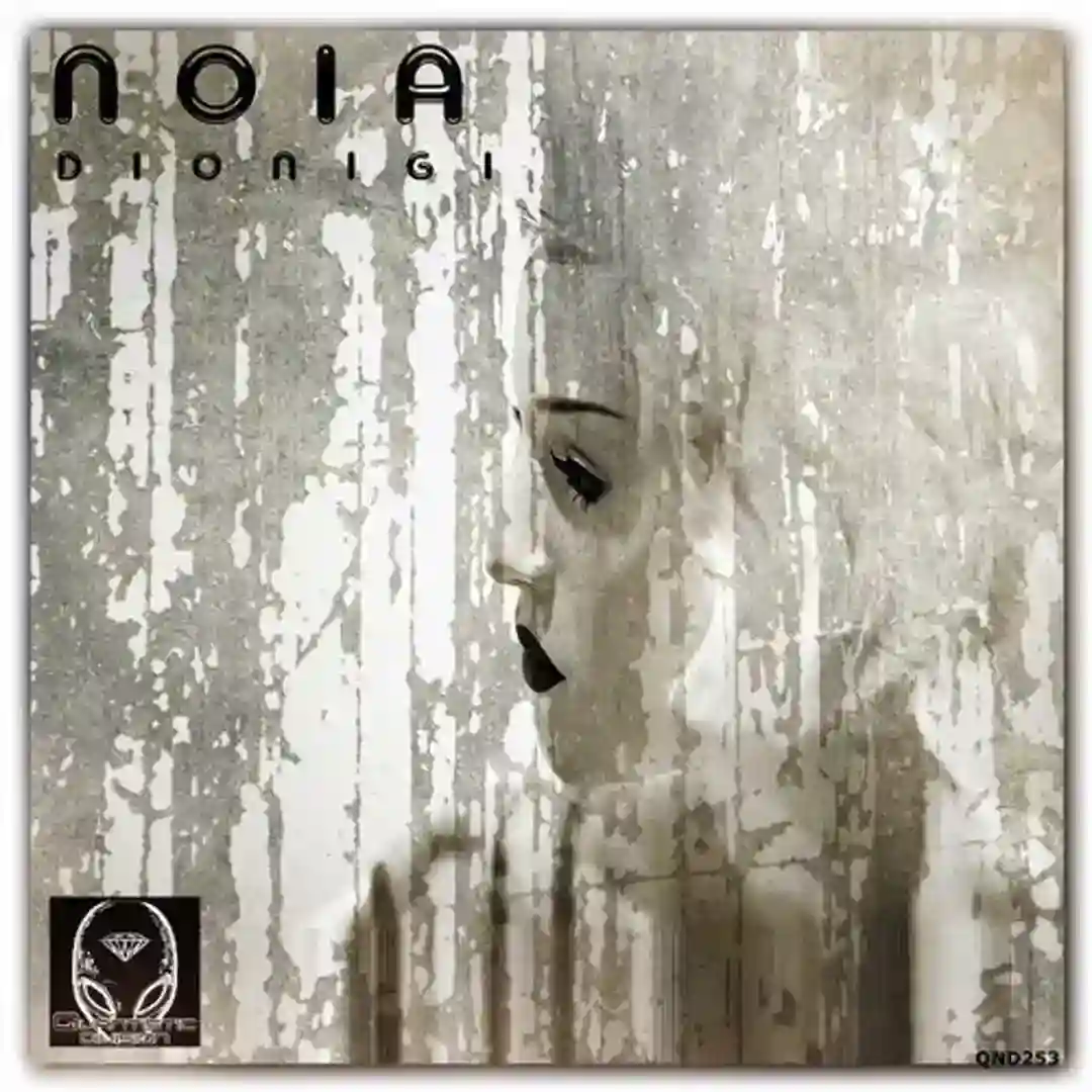 Noia (Nu Disco Mix) cover