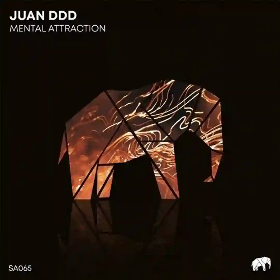 Mental Attraction cover