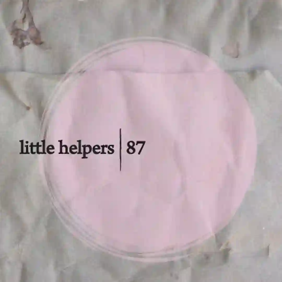 Little Helper 87-2 (Original Mix) cover