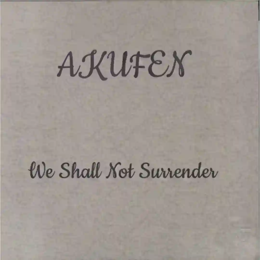 We Shall Not Surrender cover