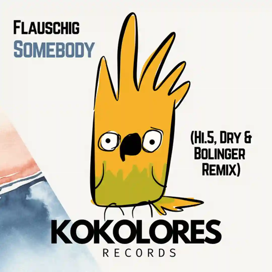 Somebody (Hi.5, Dry & Bolinger Remix [Radio Edit]) cover