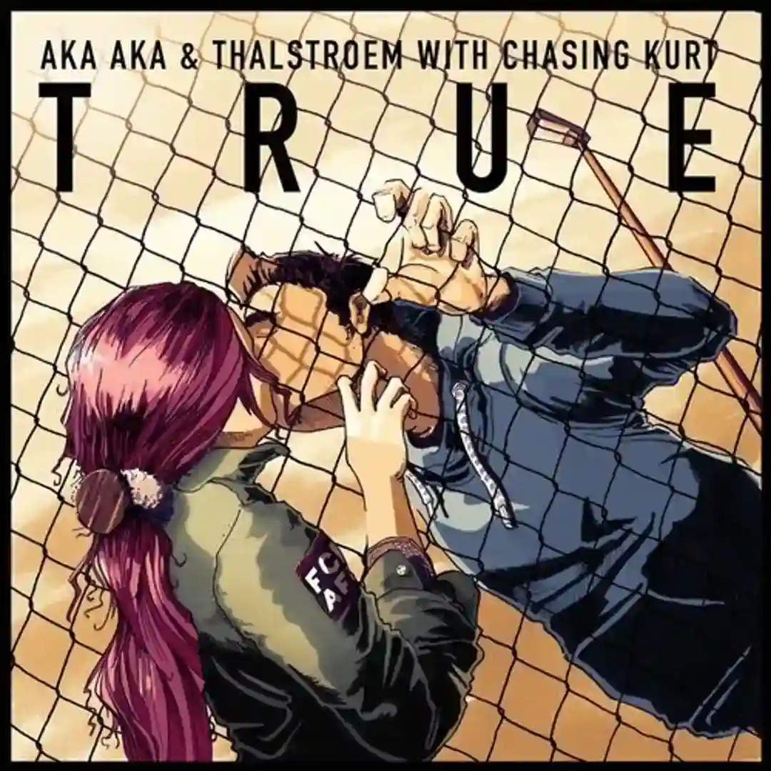 True feat. Chasing Kurt (Radio Edit) cover