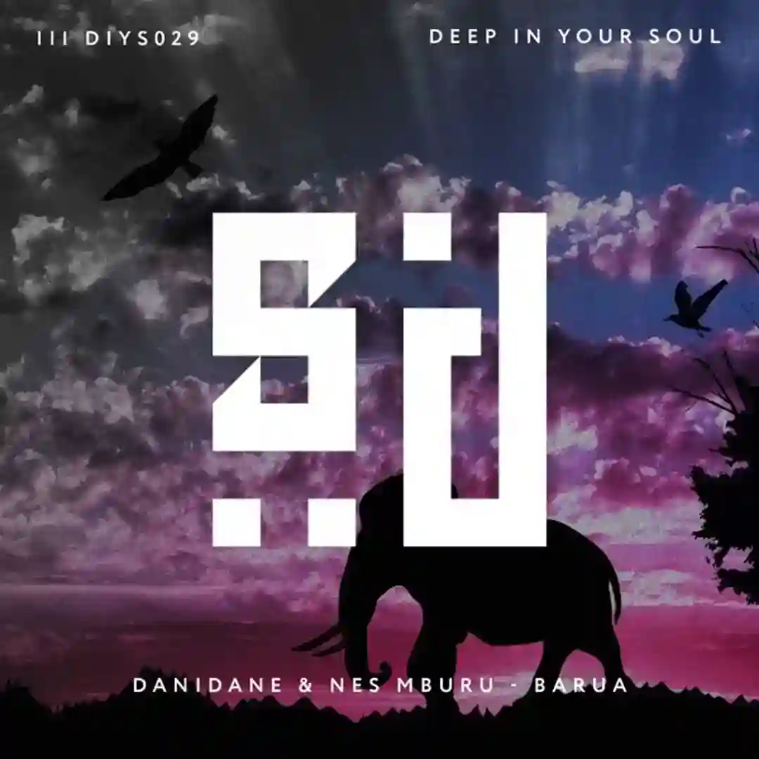 Barua (Original Mix) cover