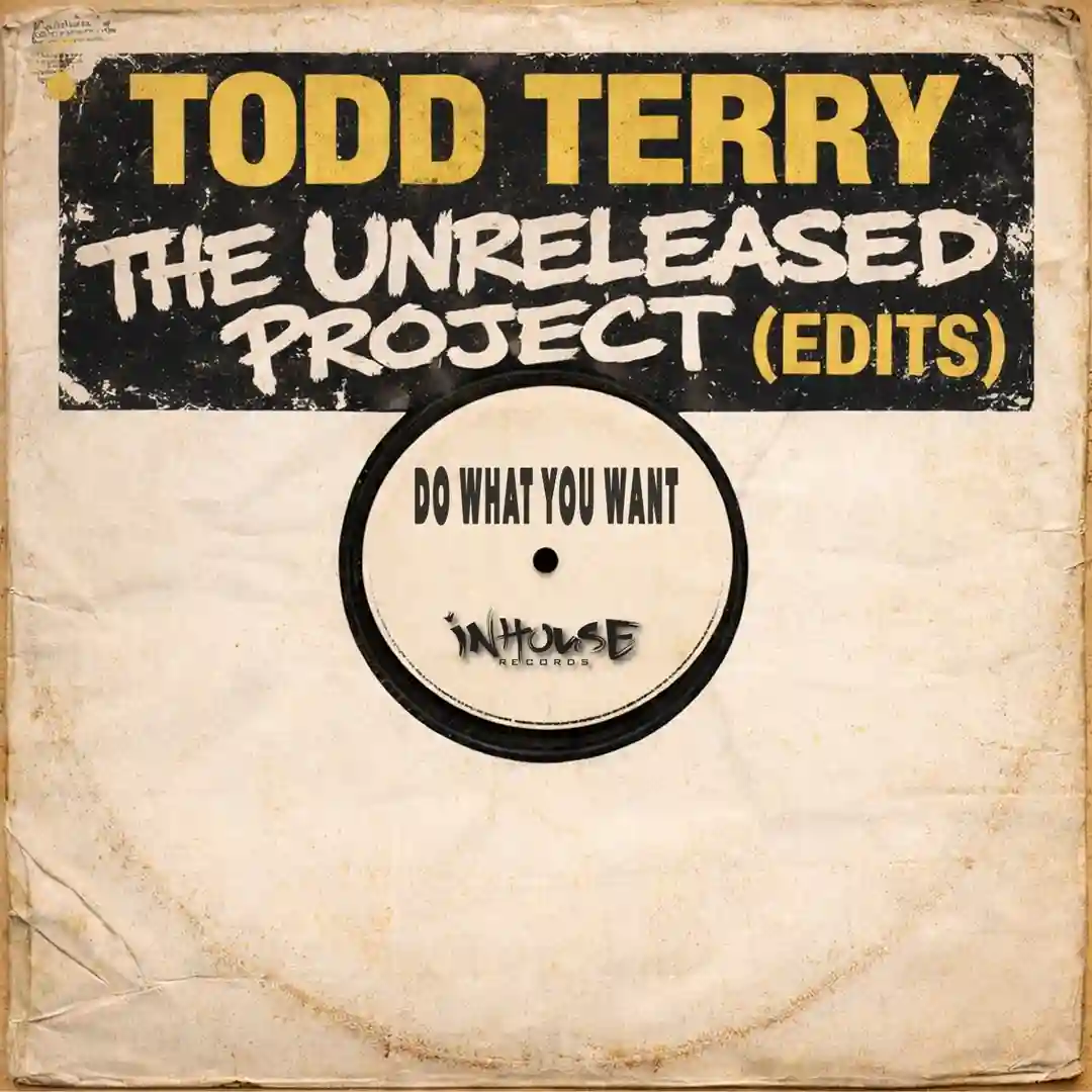 The Unreleased Project (Edits) \"Do What You Want\ cover
