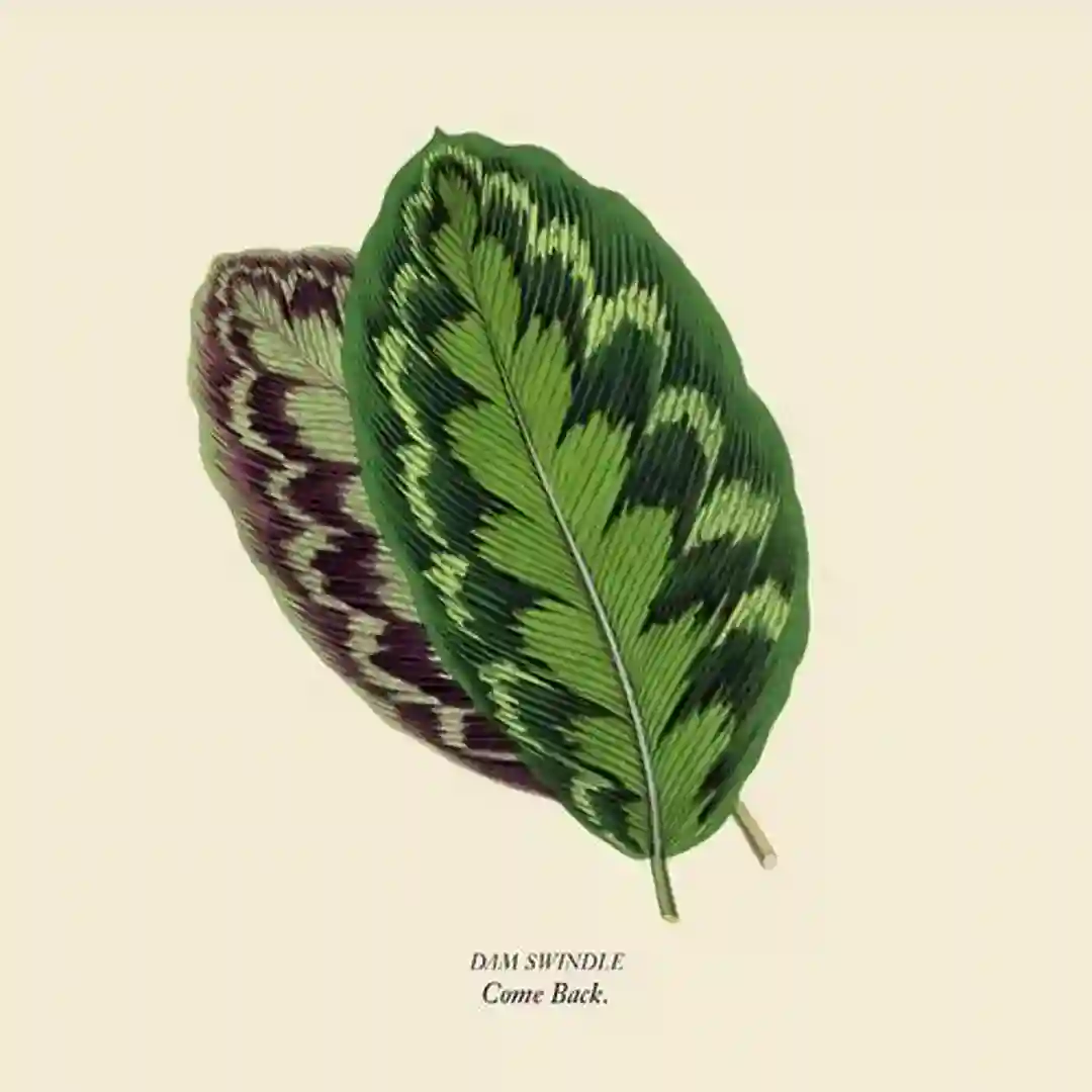 Come Back EP cover