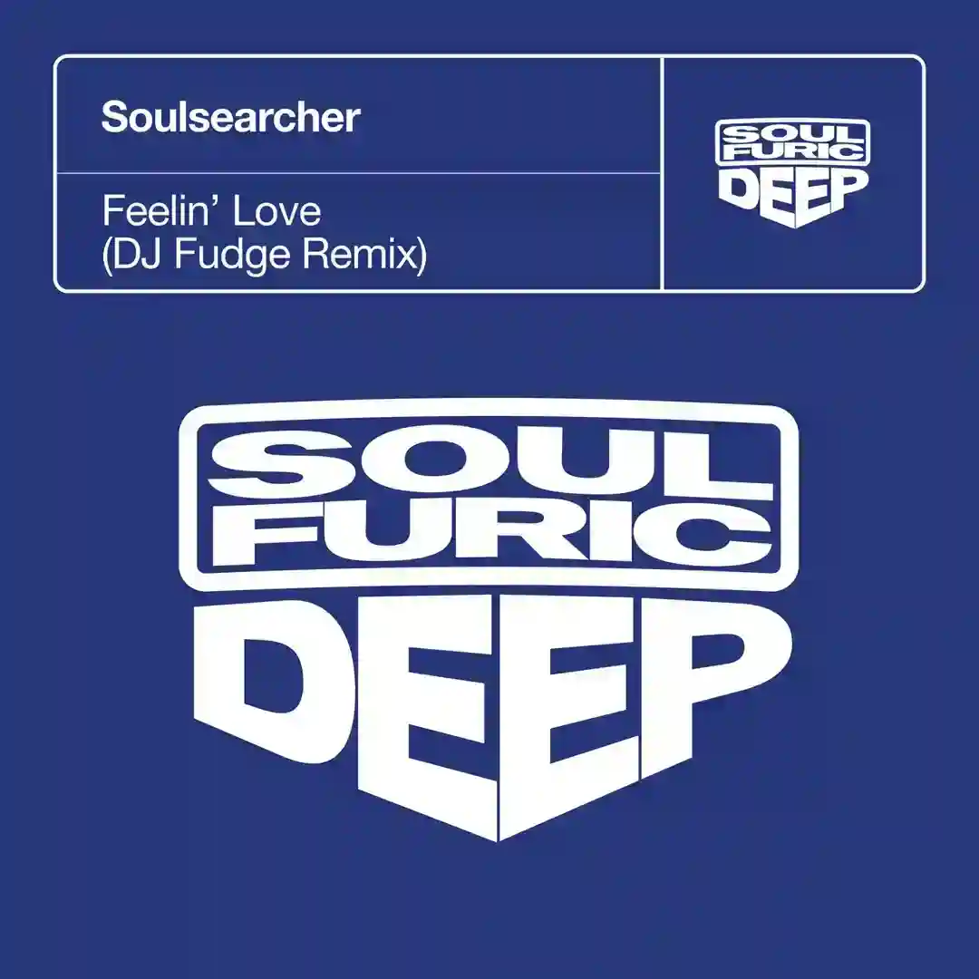 Feelin' Love (DJ Fudge Extended Remix) cover