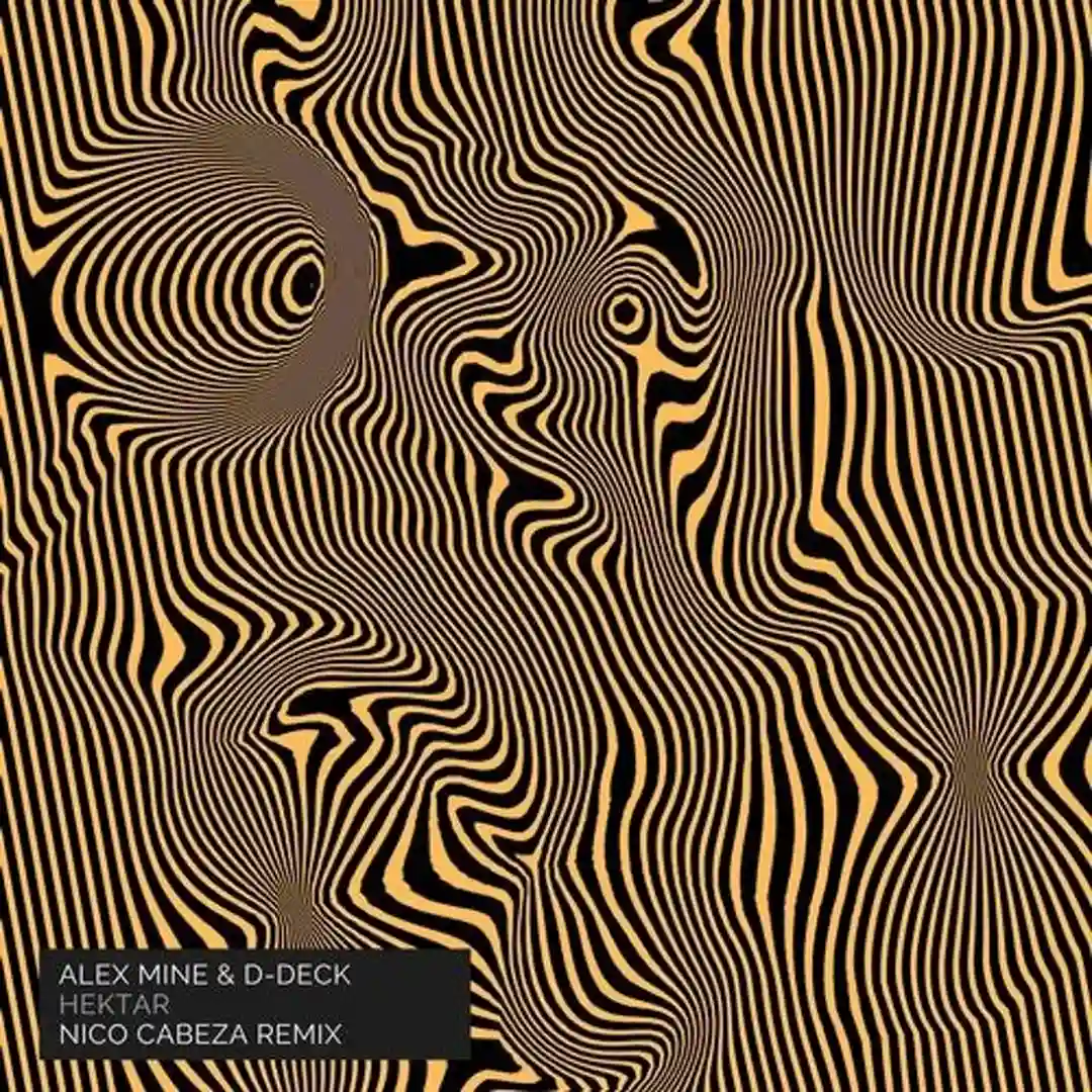 Hektar (Nico Cabeza Remix) cover