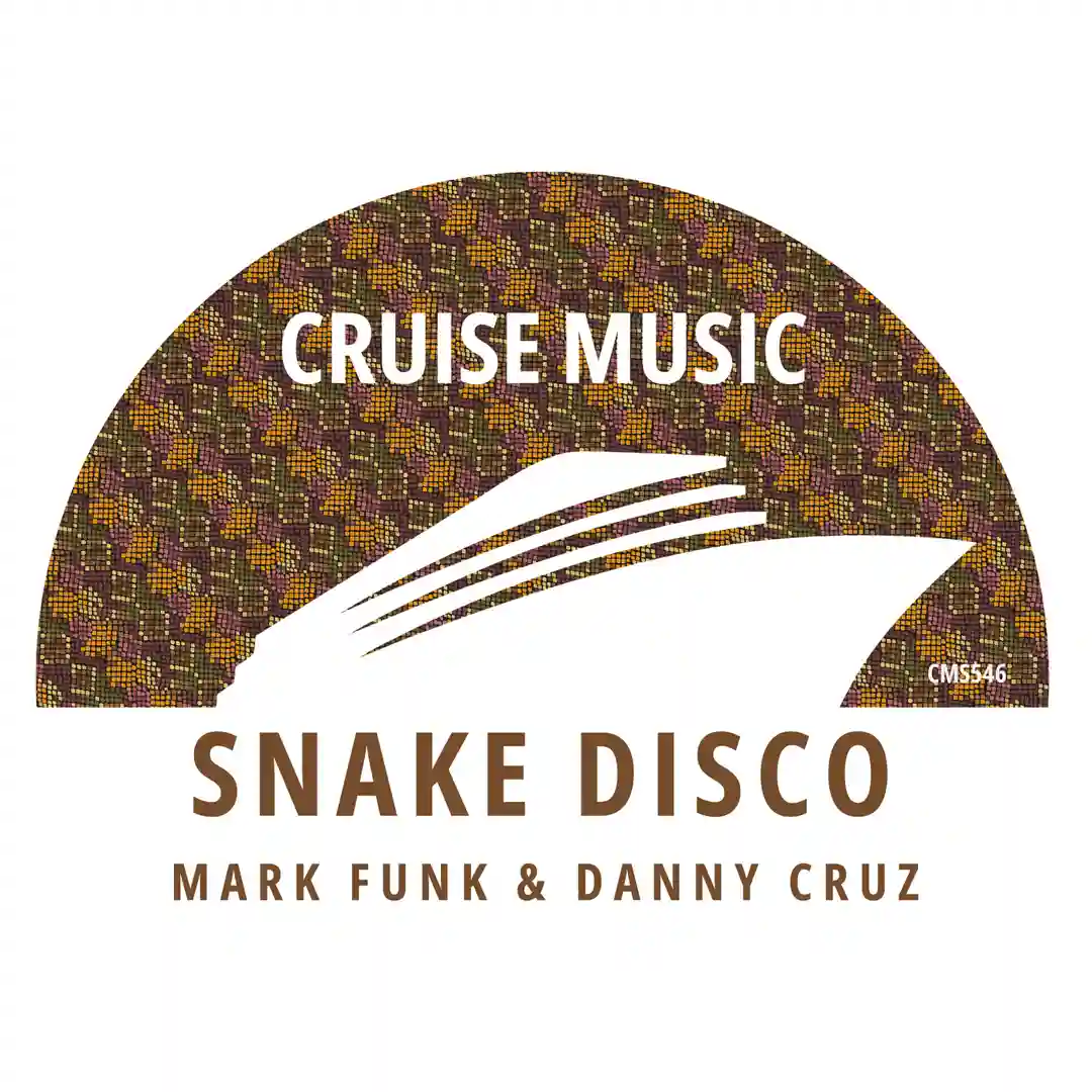 Snake Disco (Original Mix) cover