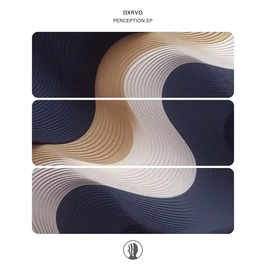Perception (Original Mix) cover