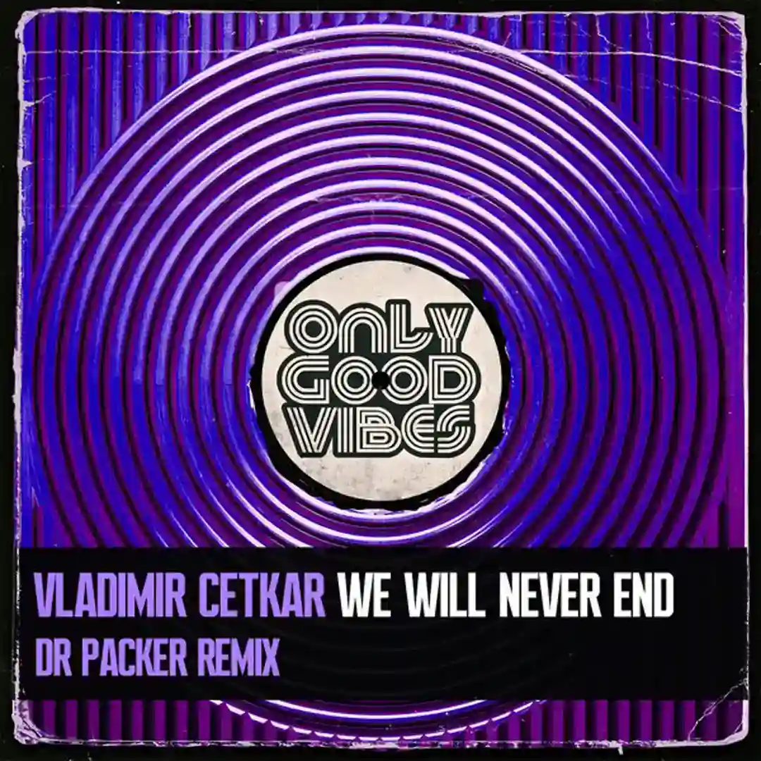 We Will Never End (Dr Packer Vocal Mix) cover