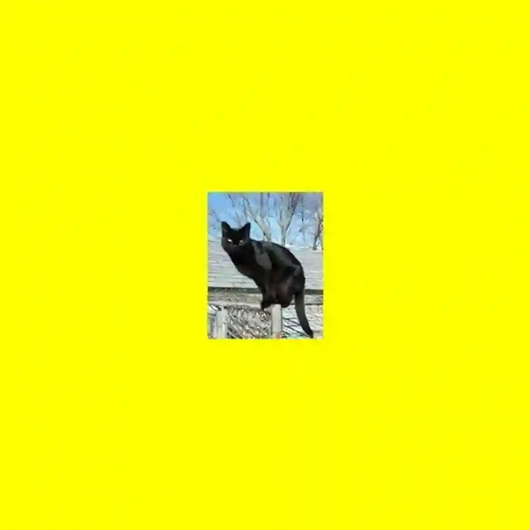 Lepel Jazz (Prins Thomas Old Pervert Mix) cover
