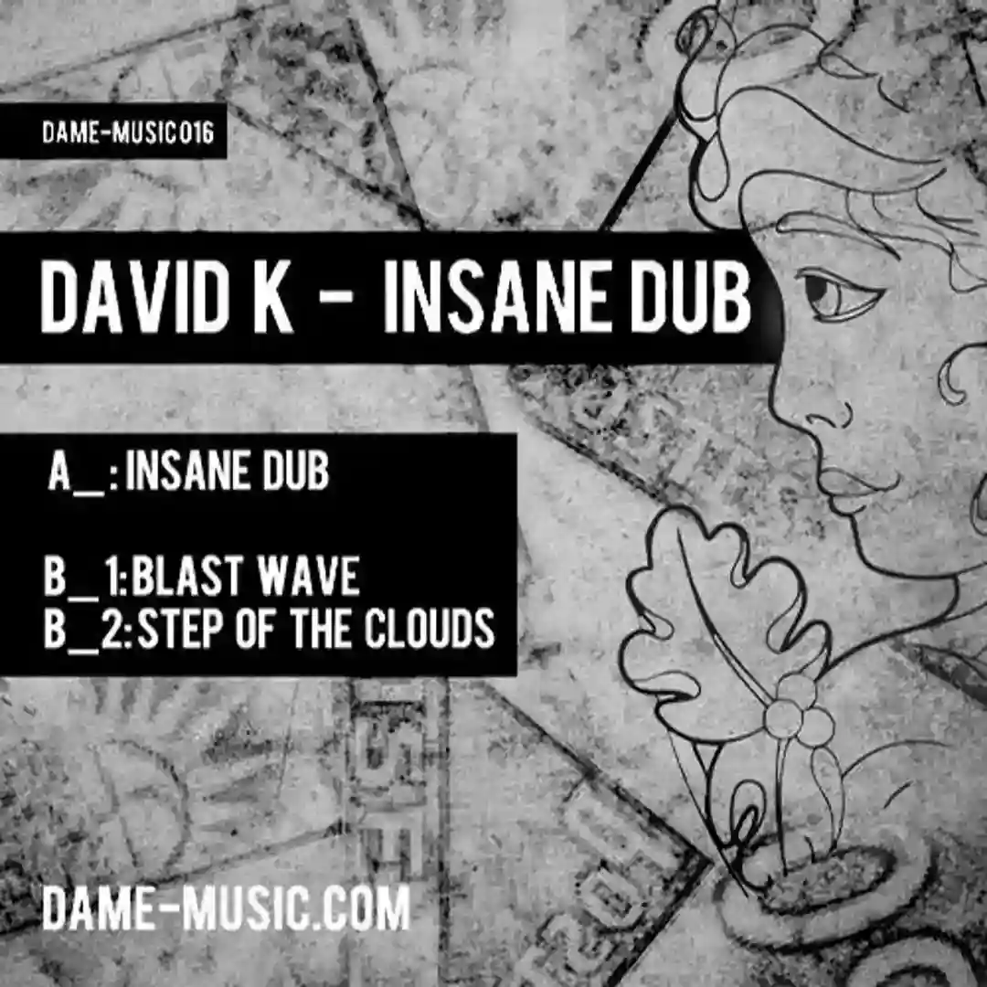 Insane Dub cover