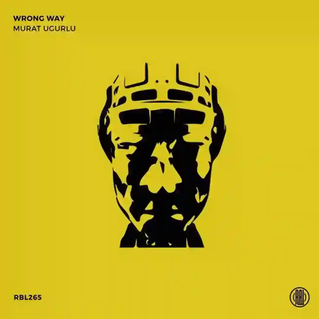 Wrong Way (Original Mix) cover