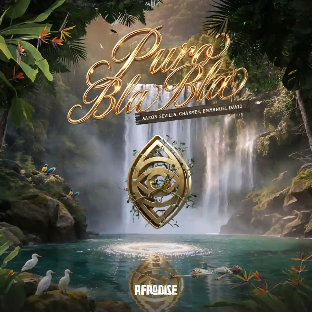 Puro Bla Bla (Original Mix) cover