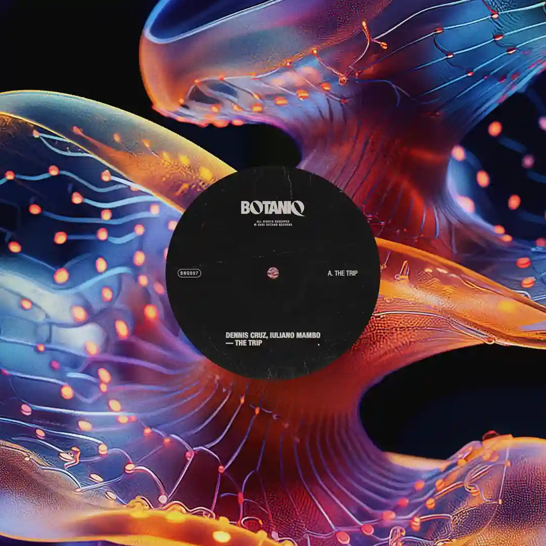 The Trip (Original Mix) cover