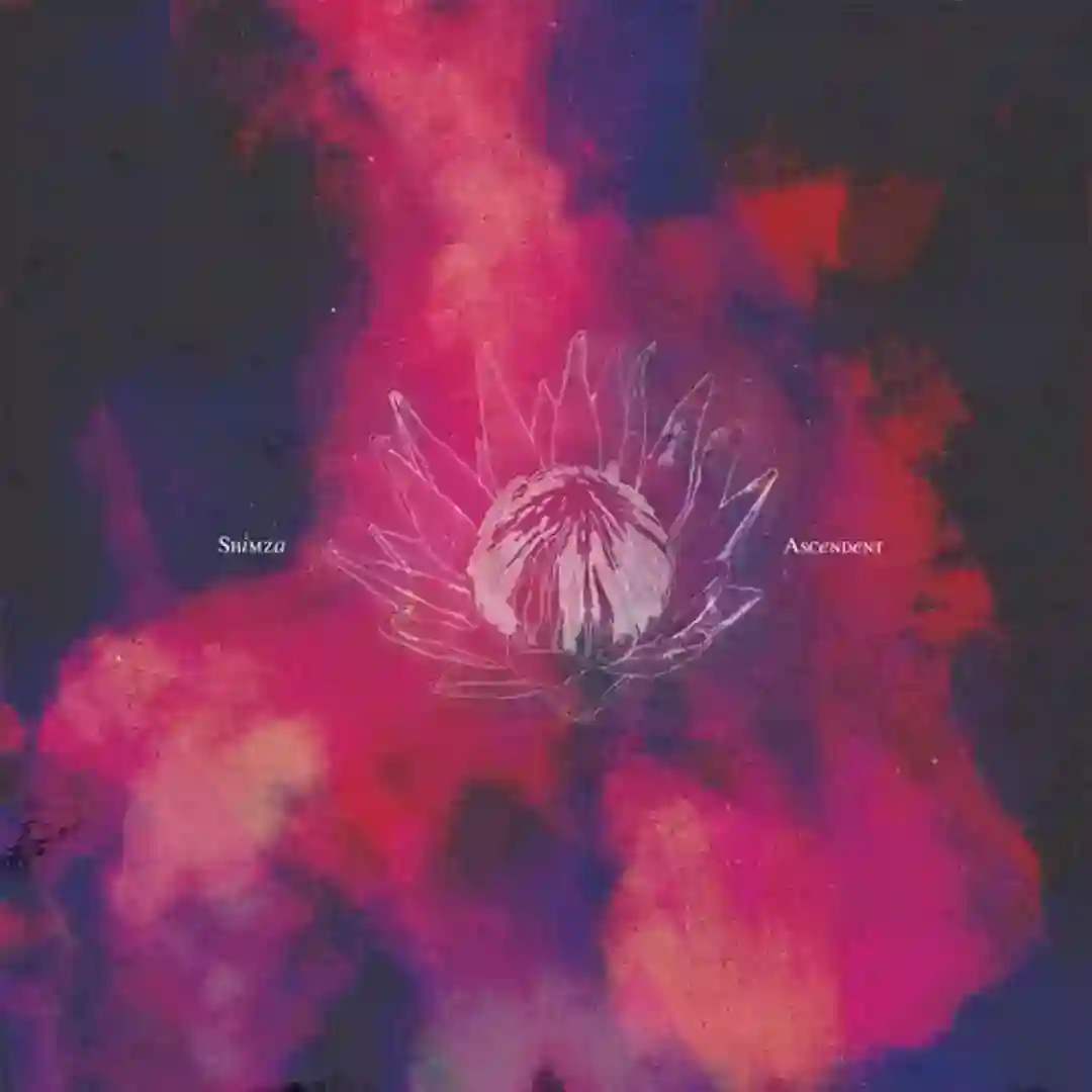 Selector (Original Mix) cover
