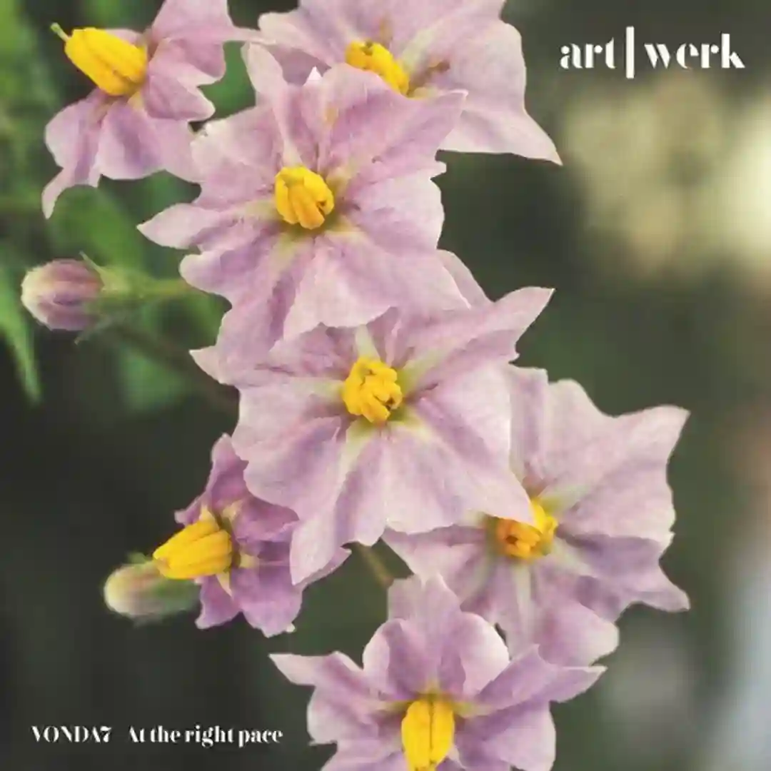 At the right pace cover