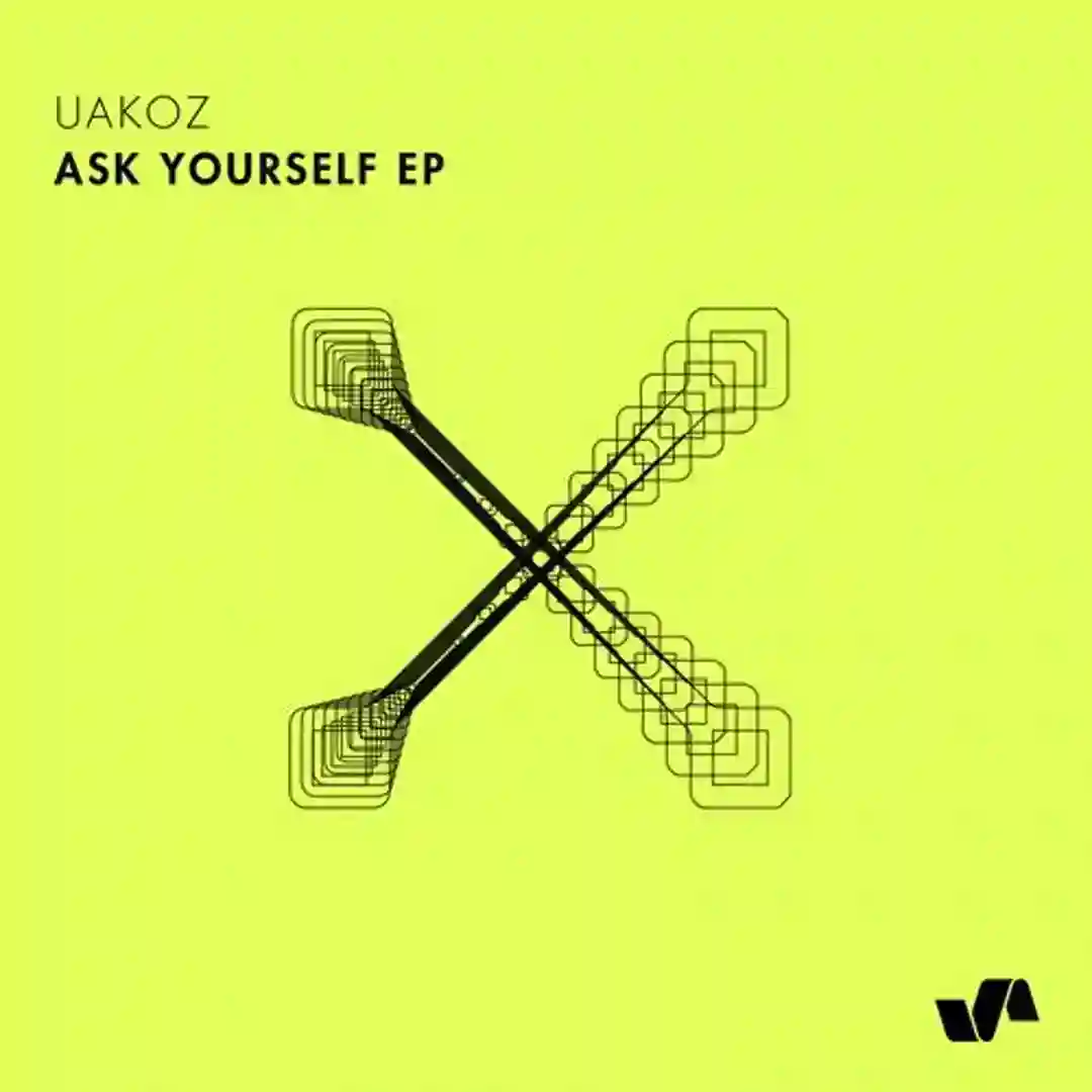 Beautiful Lies (The Reason Y Remix) cover